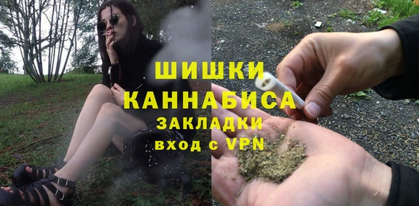 индика Янаул