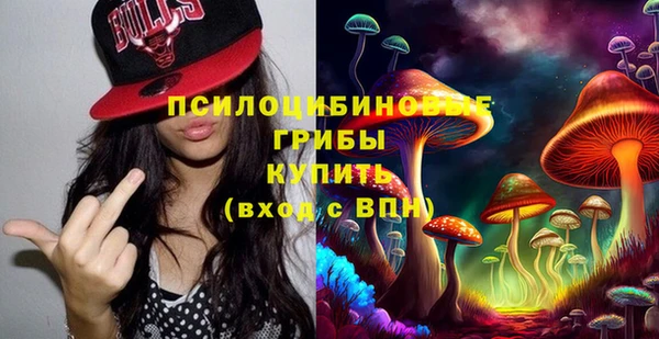 мяу мяу мука Абаза
