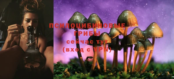 мяу мяу мука Абаза