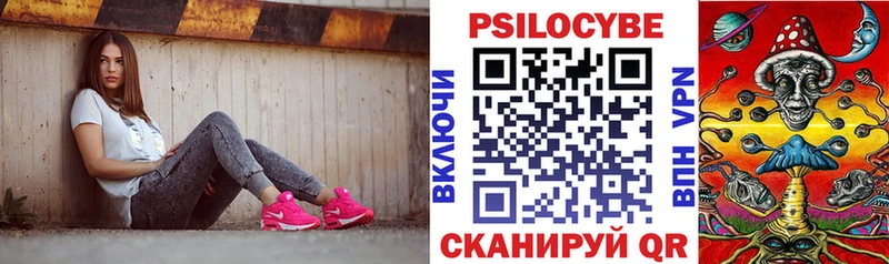 магазин продажи   это клад  Псилоцибиновые грибы Cubensis  Копейск 